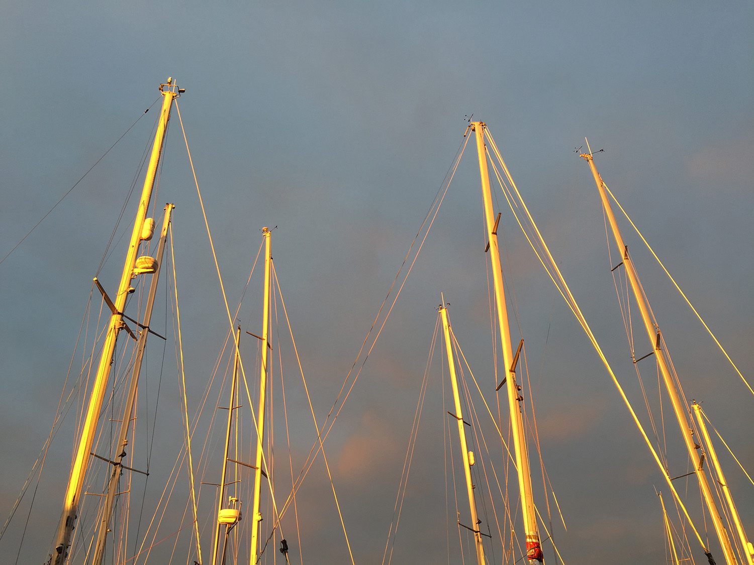 Foto 2015 10 19 17 44 56_red